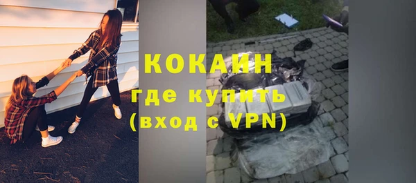 твердый Богородск