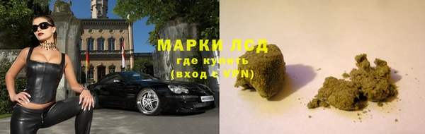 стафф Белокуриха