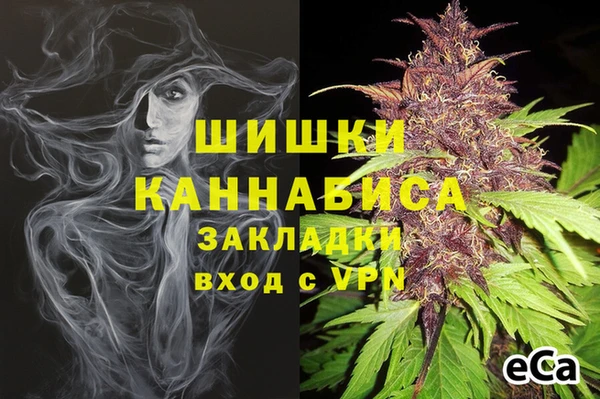 твердый Богородск